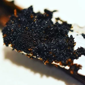 Vanilla Beans