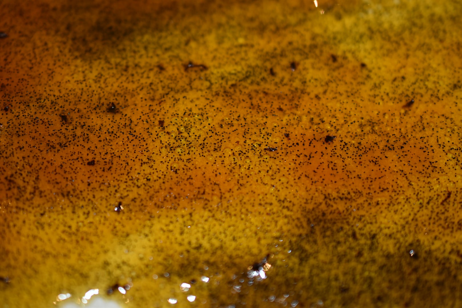 Vanilla Sugar